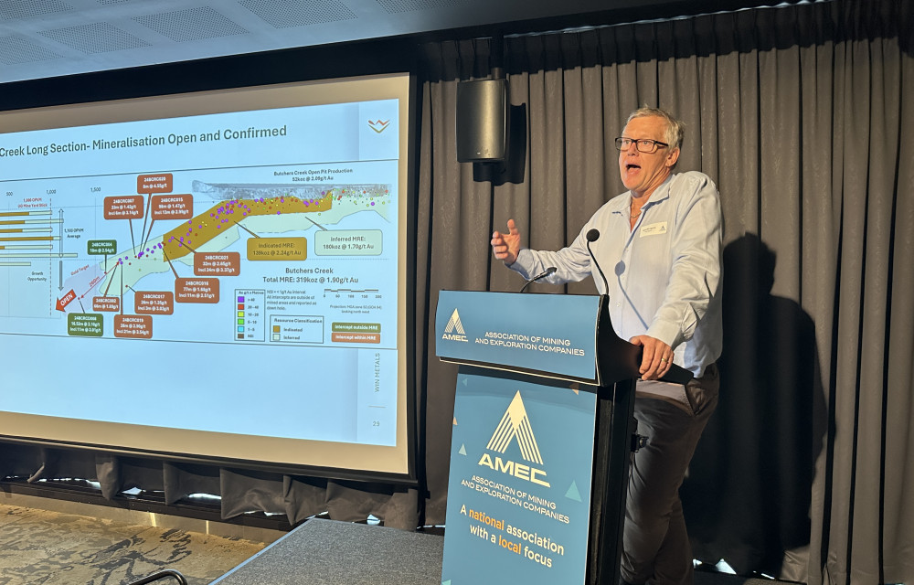 Win Metals makes a winning move: from nickel to new opportunities and the Butchers Creek Gold Projectarticle image