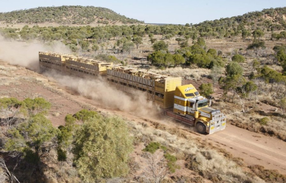 $500M road infrastructure upgrade in Central Qld to begin mid-year, improving freight access, safety and all-weather connectivity across 218,000 sq km networkarticle image